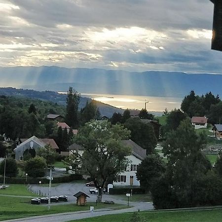 Balcony Of Lake Geneva Thollon-les-Memises Esterno foto